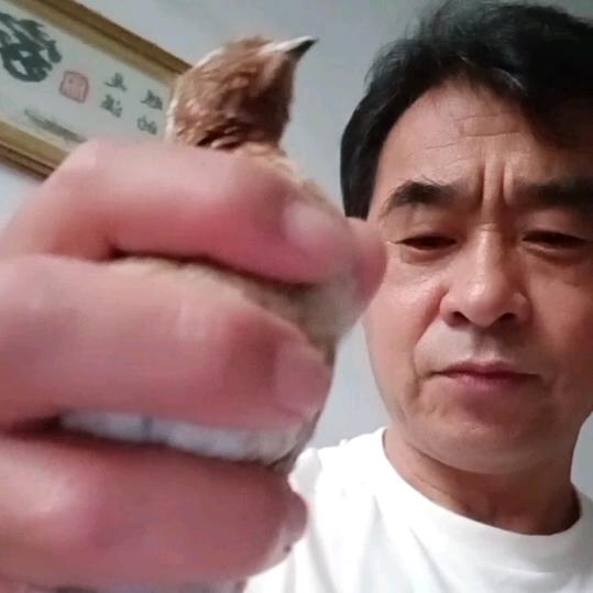邢。