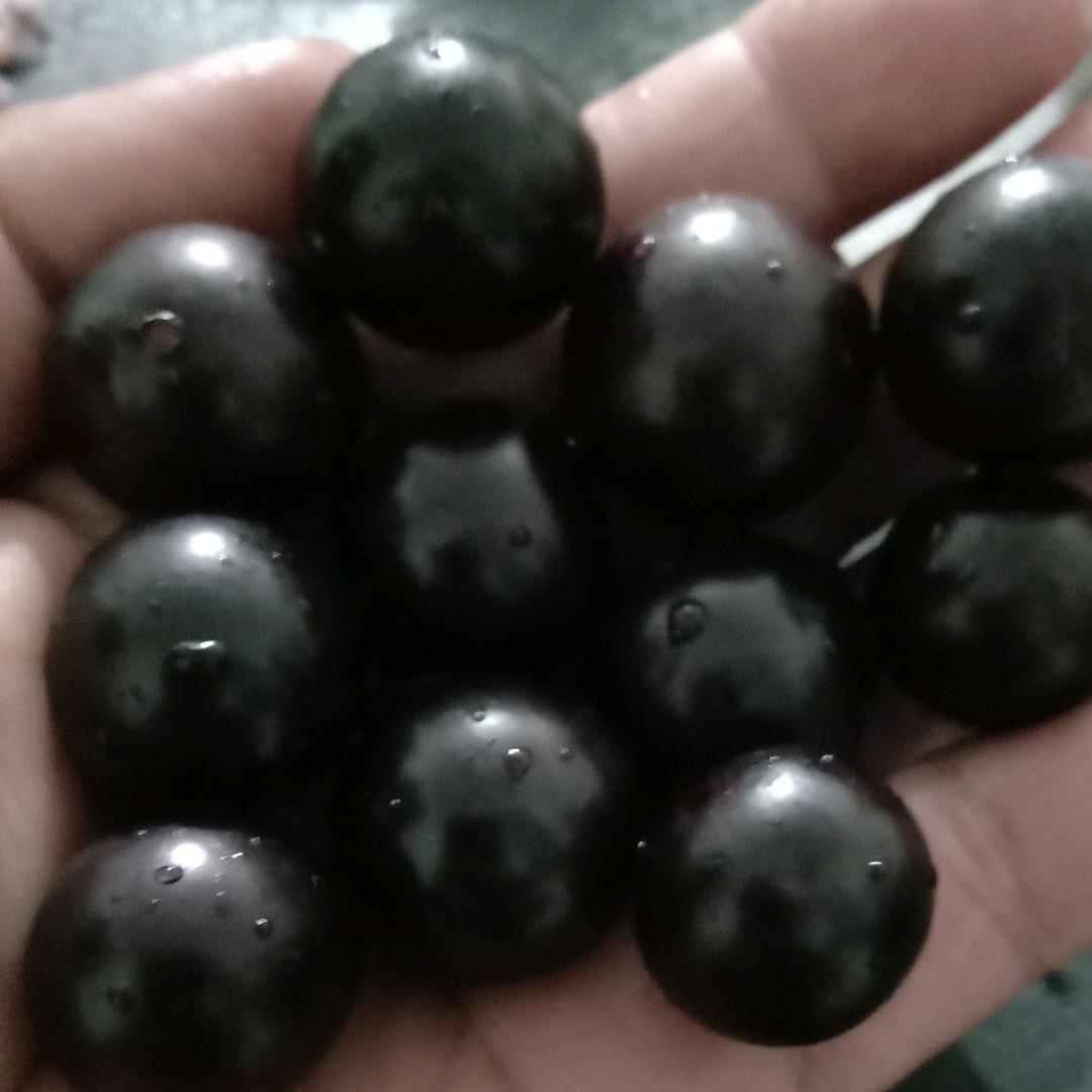 邓七