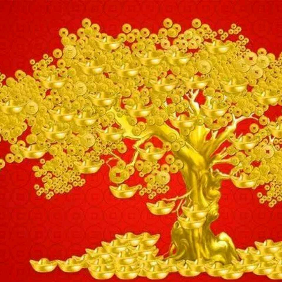 为你守候开心果。