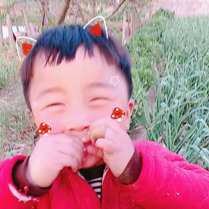 暖风昔人