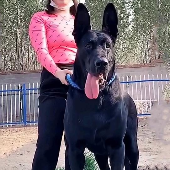 不长发视频  可以私聊