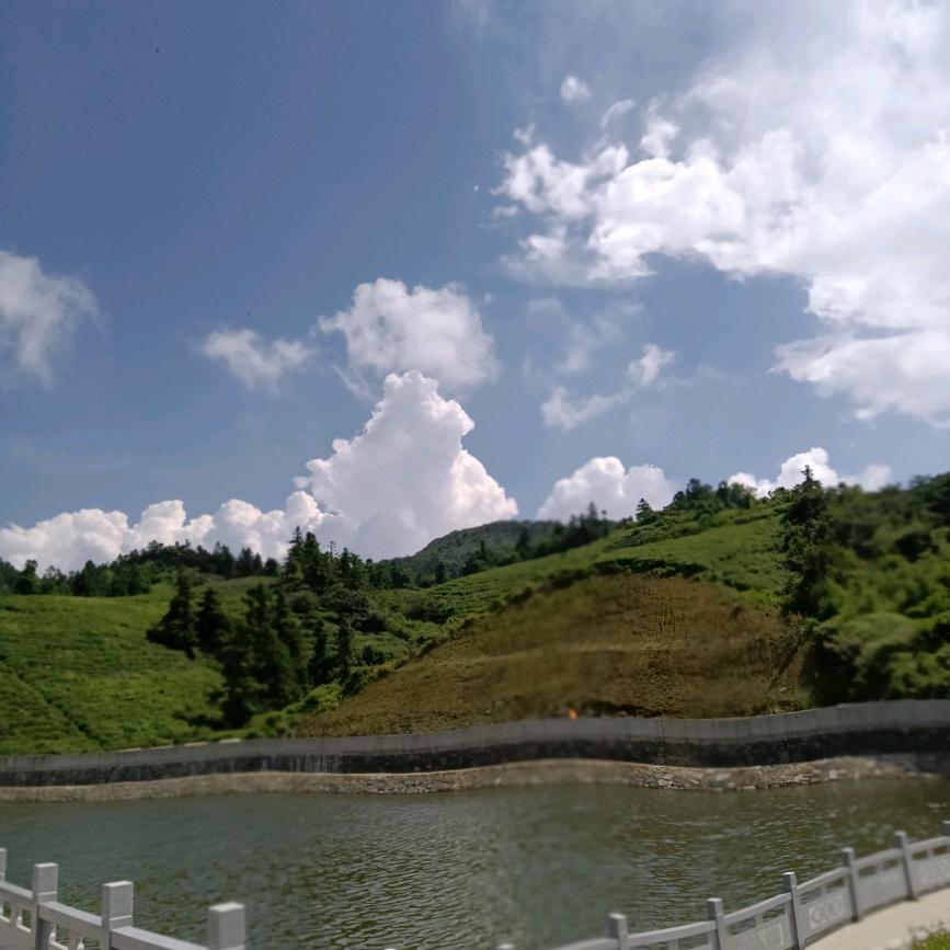 你在他乡还好吗？