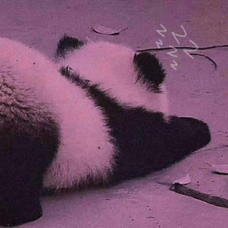 不吃煮番茄