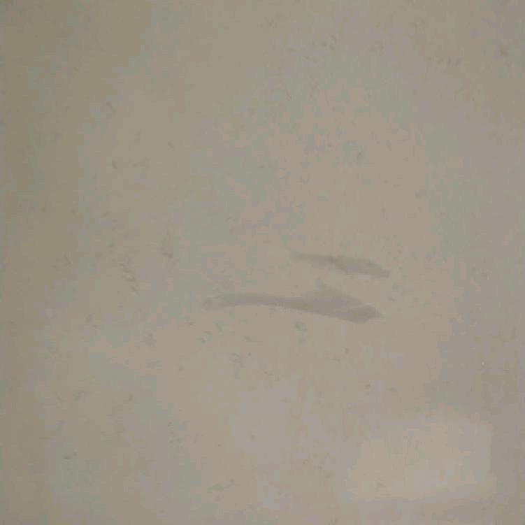 萧萧风雨
