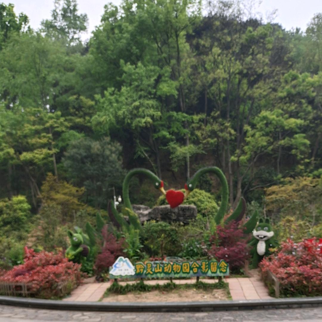 近距离