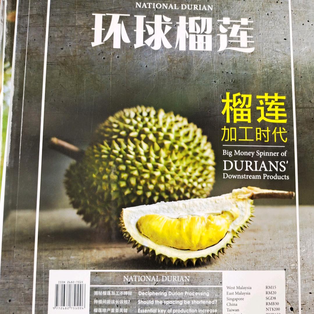 榴莲心程～林运兴