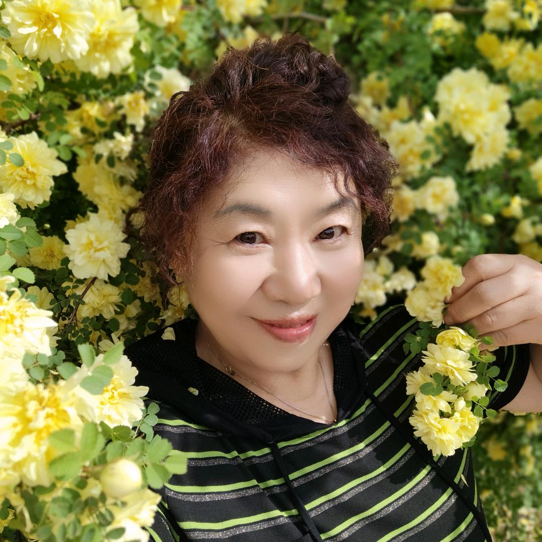 王雅芹