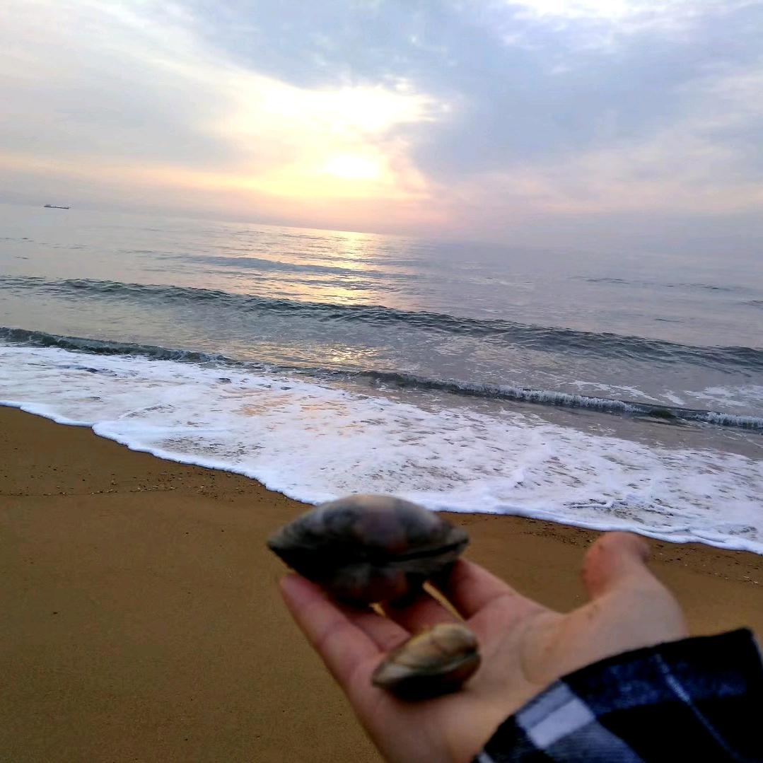 各种海鲜礼品批发全国包邮