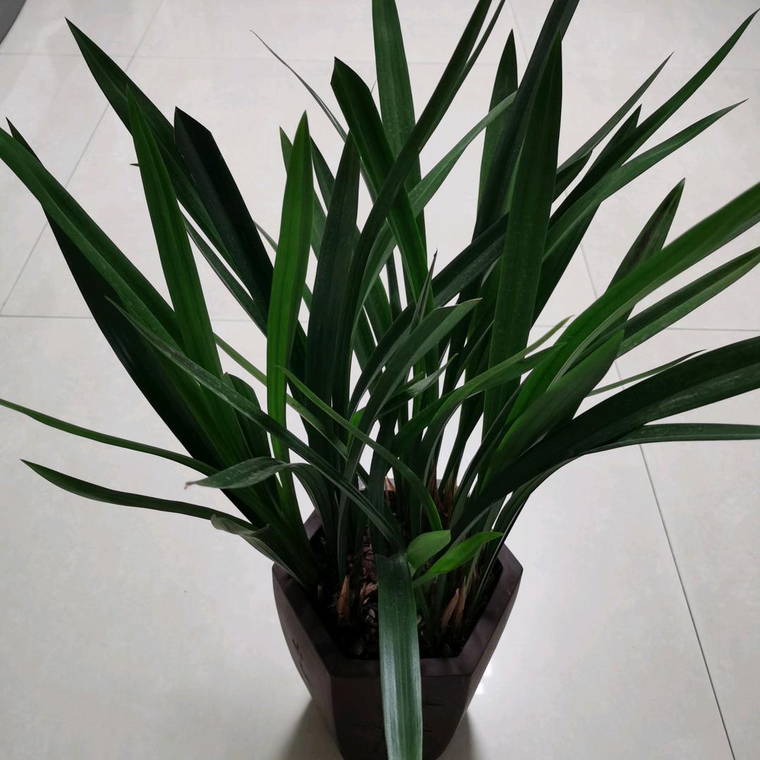 观海听澜