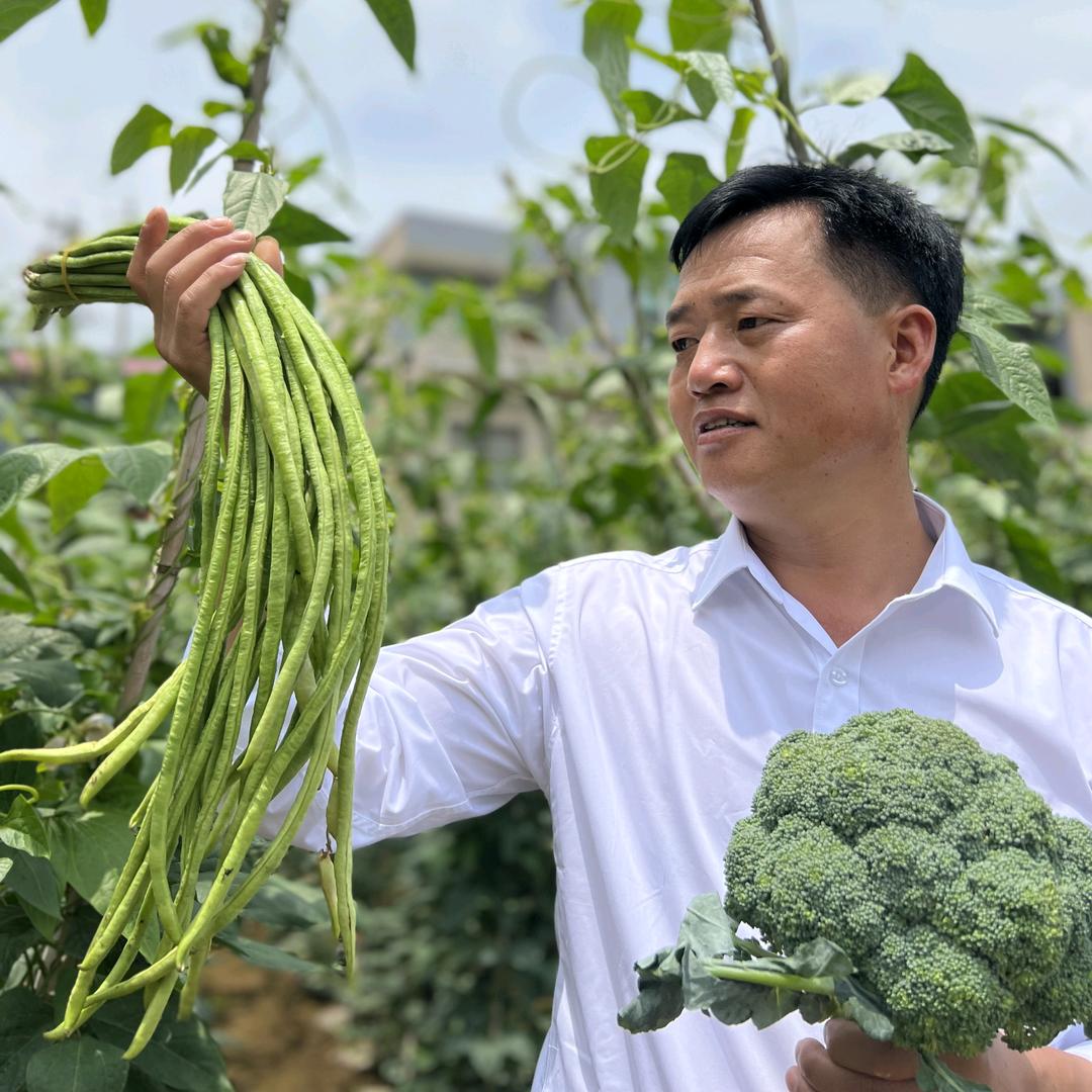 方瑞琦