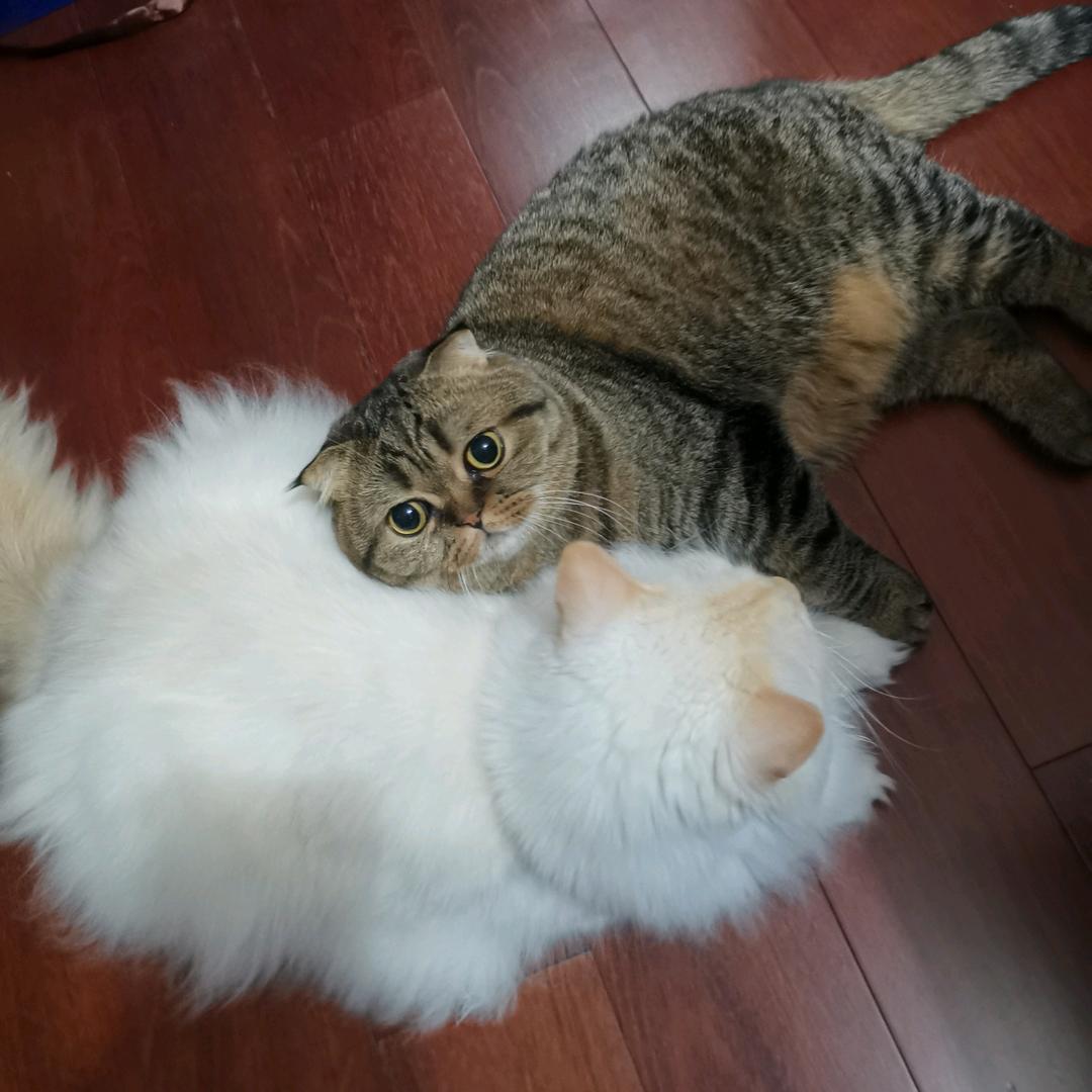 风动