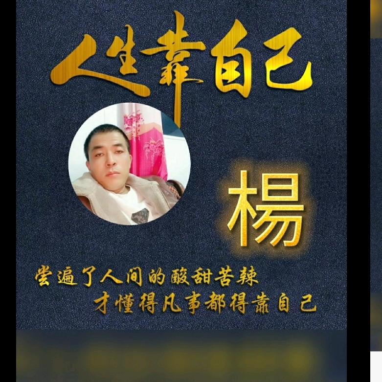 杨师贴砖