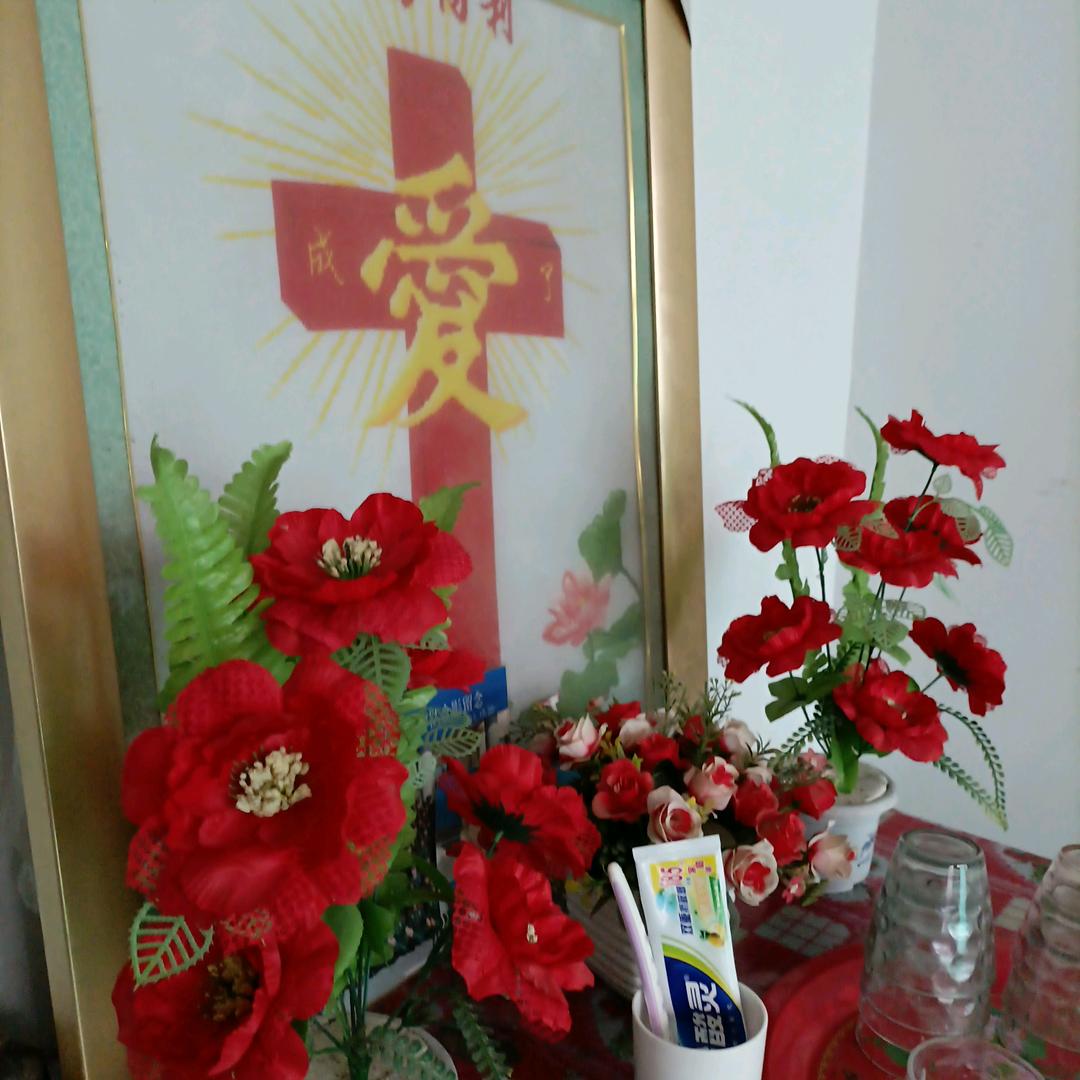 春天的玫瑰。