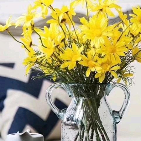 古方头疗（侠姐）