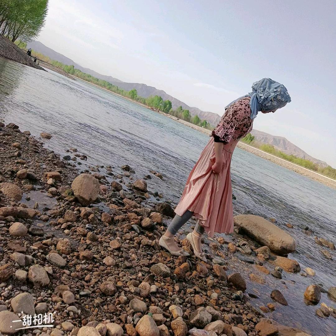 积石山果蔬联盟