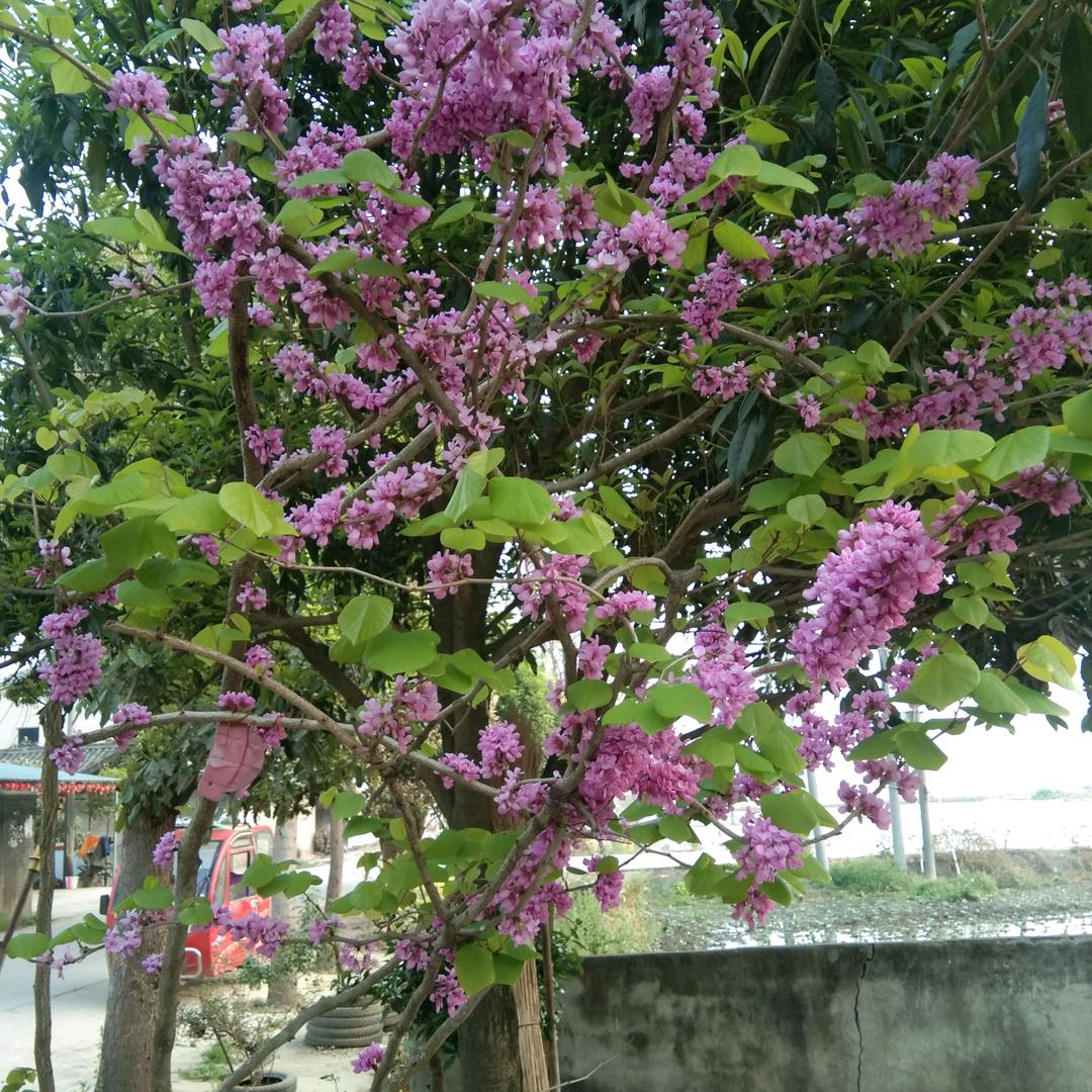 用户9034313622802