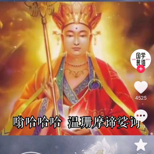 用户太阳花