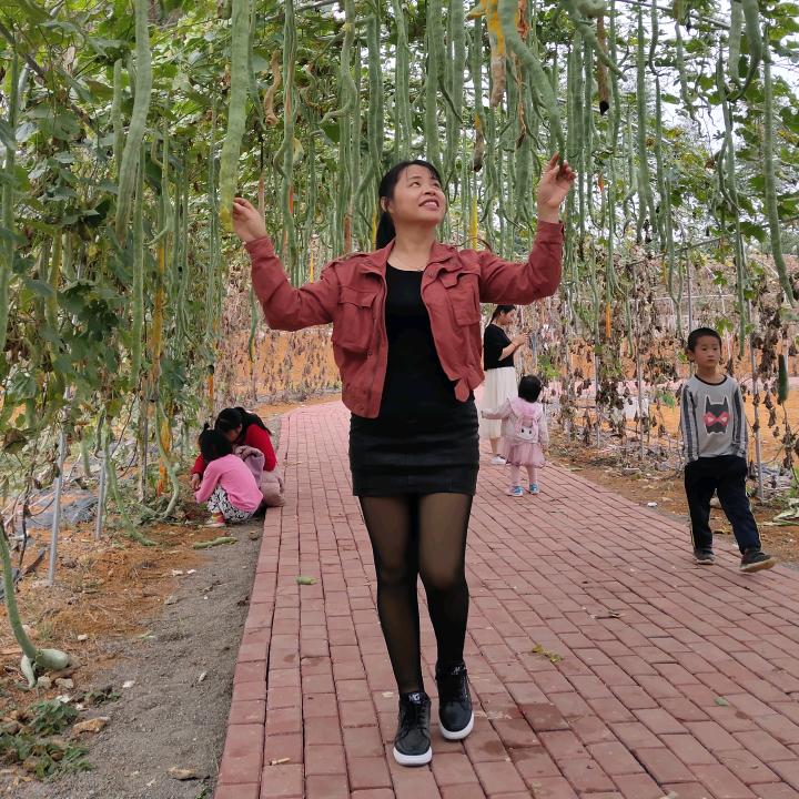 壮乡旅行记
