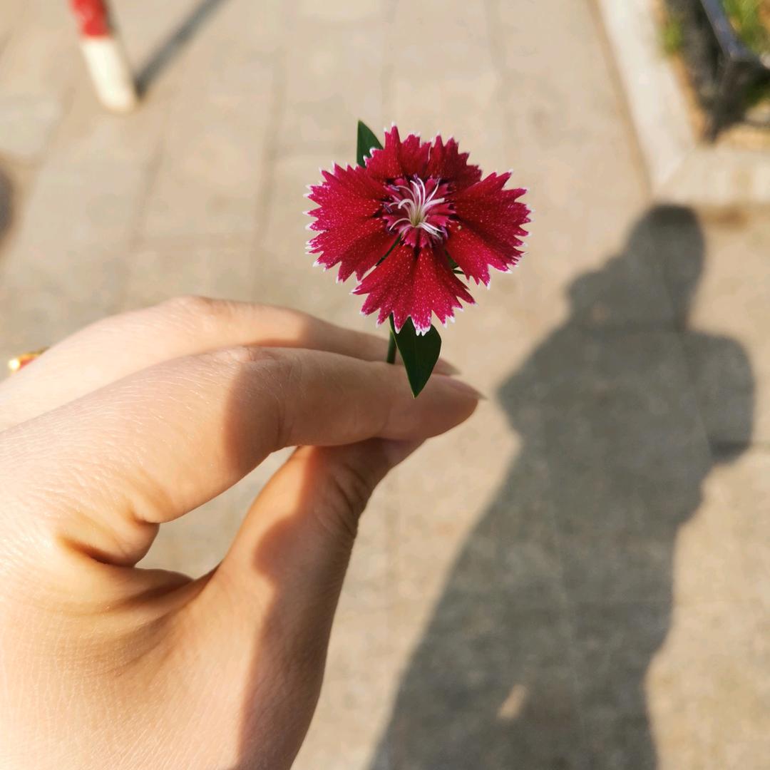 小梦的沪漂生活