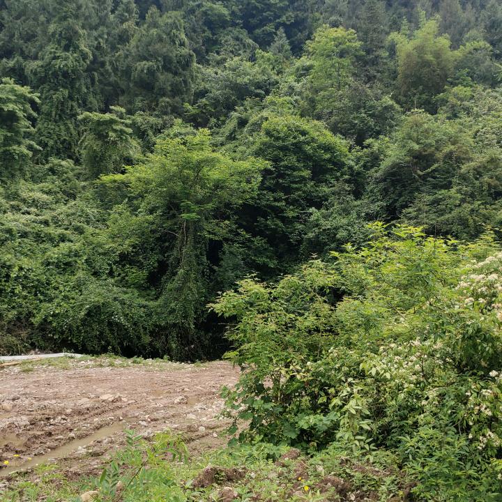 永不放弃😄😄😄