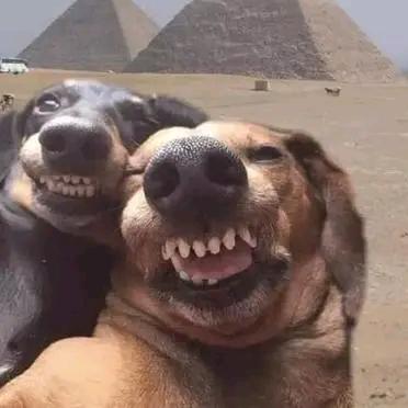 @🥀⃟释᭄怀☆: 🚬ᥫᦸᐝ