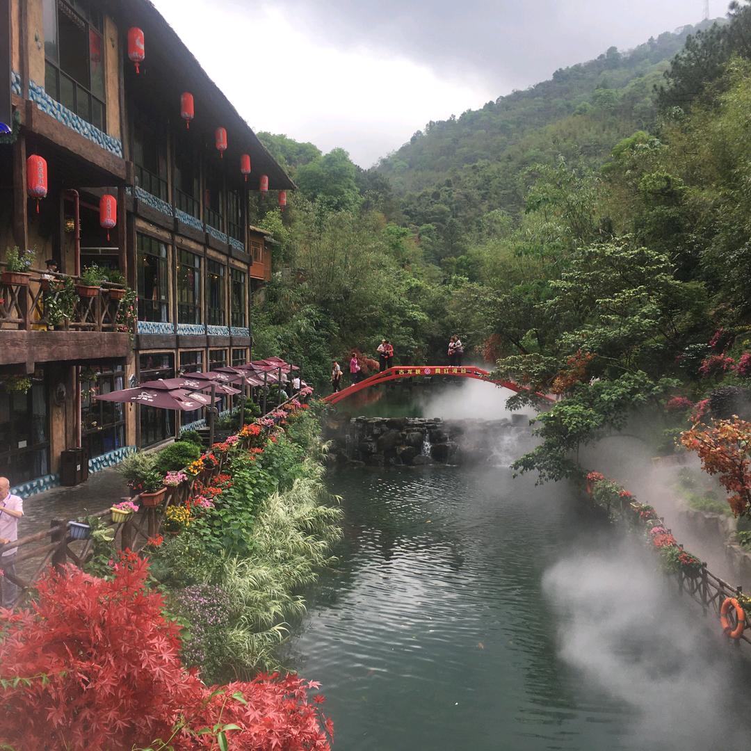 燕子