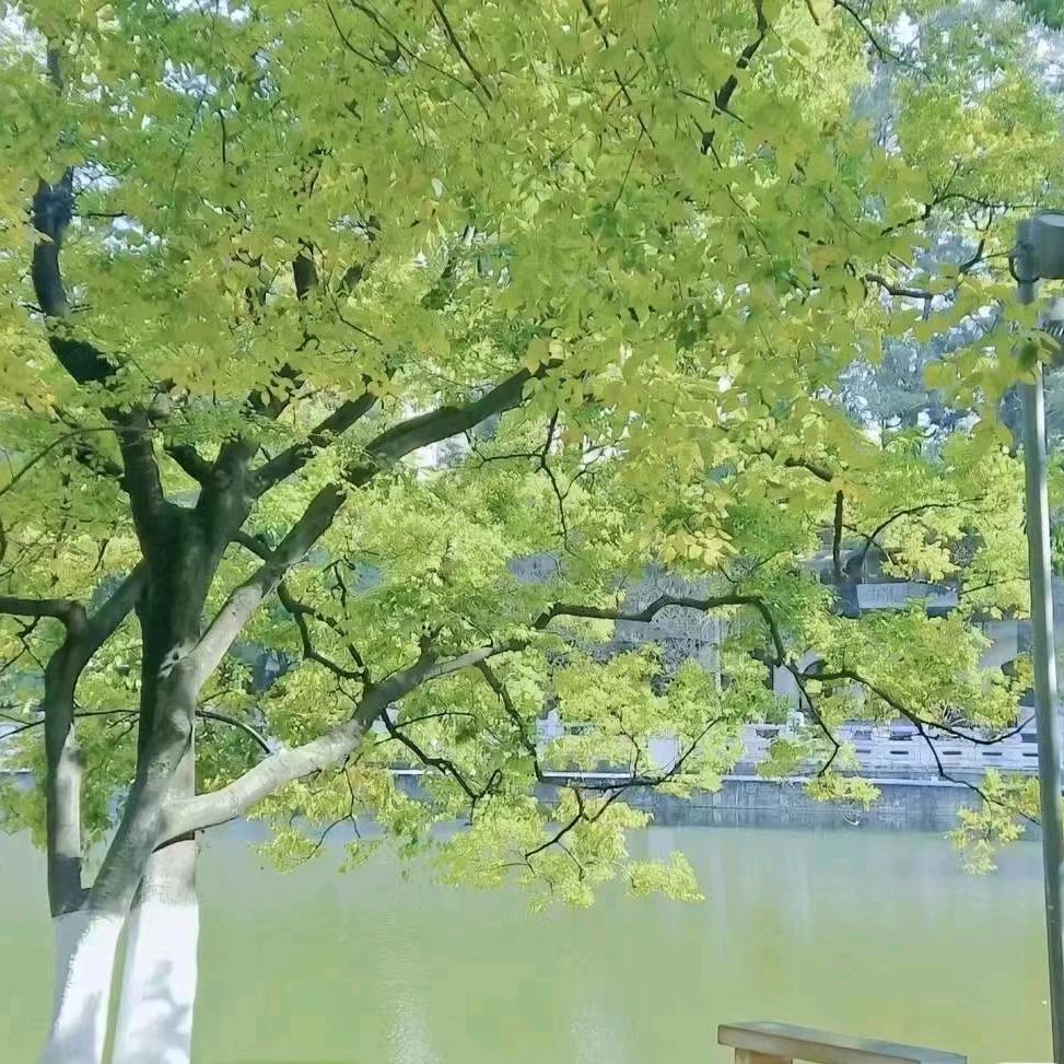 高中物理刘老师（学习方法提分）