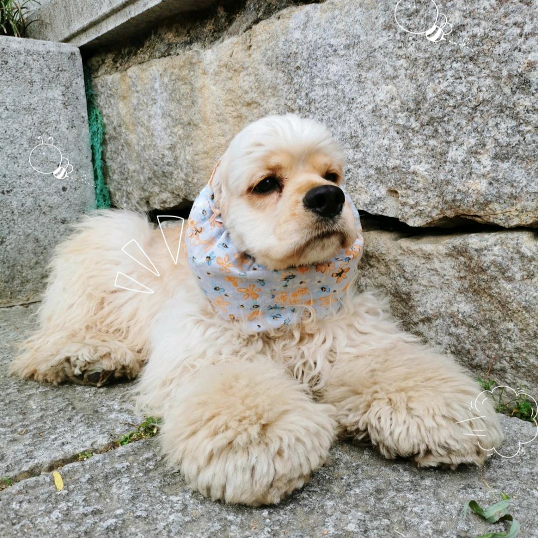 卡卡和麦麦