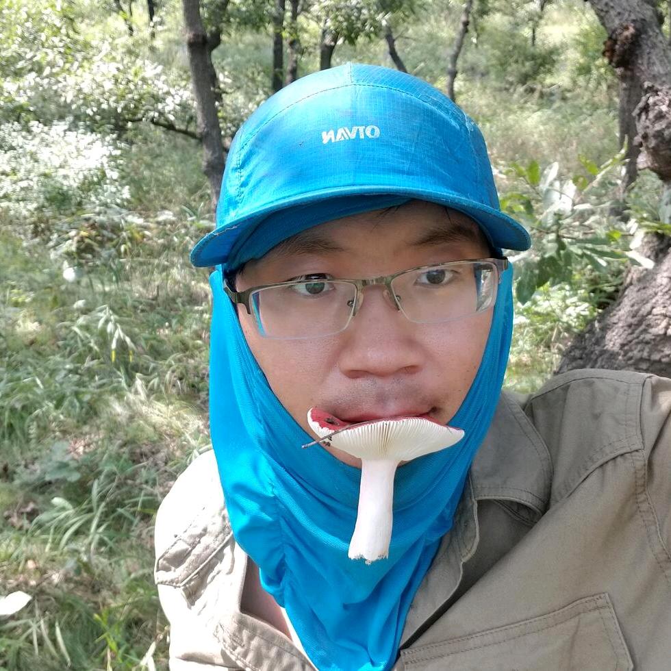 鹅膏哥(解答你不认识的蘑菇)