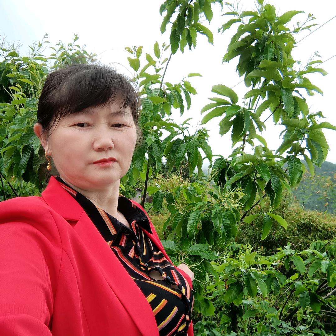 谢怀兰