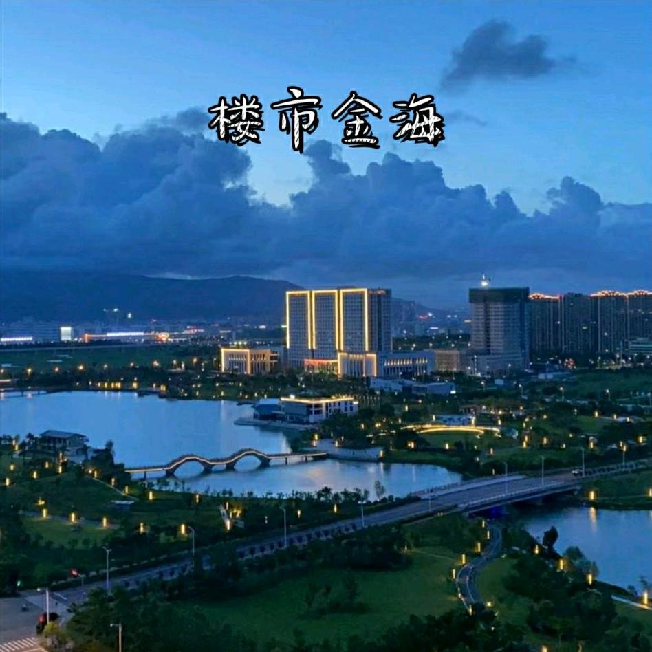 温州楼市金海