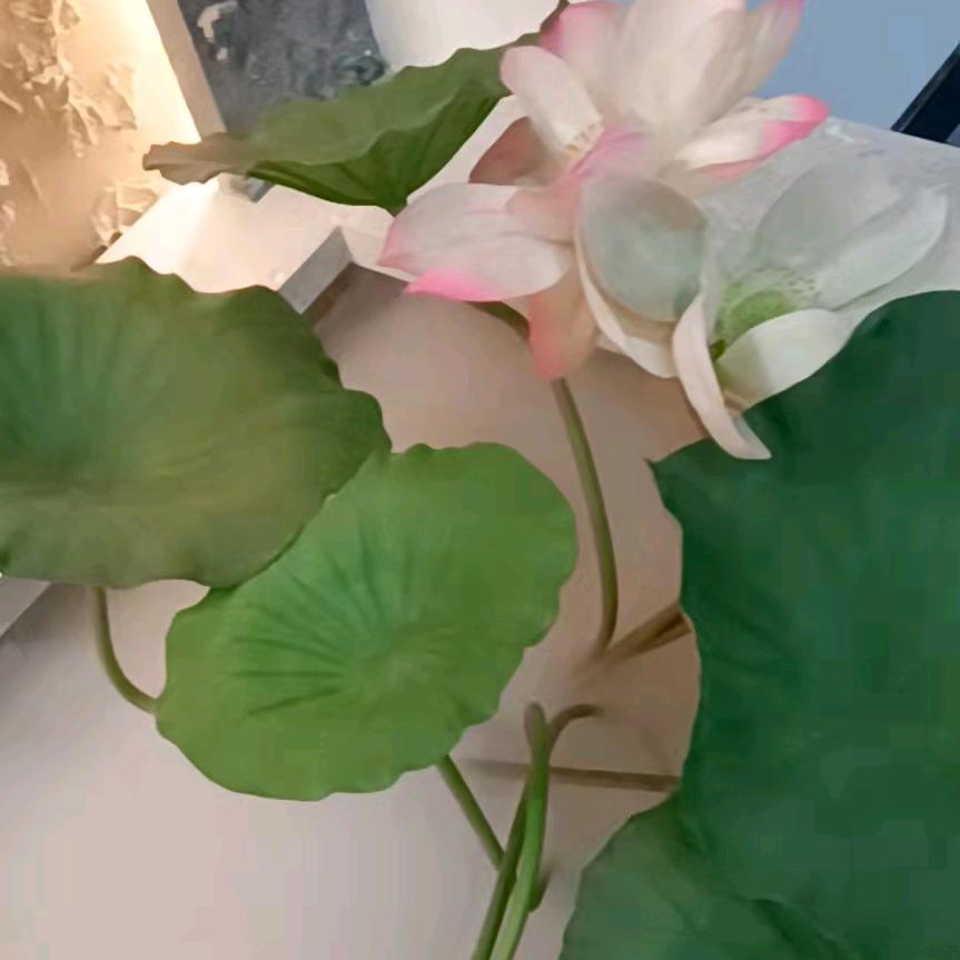 用户7797807287320