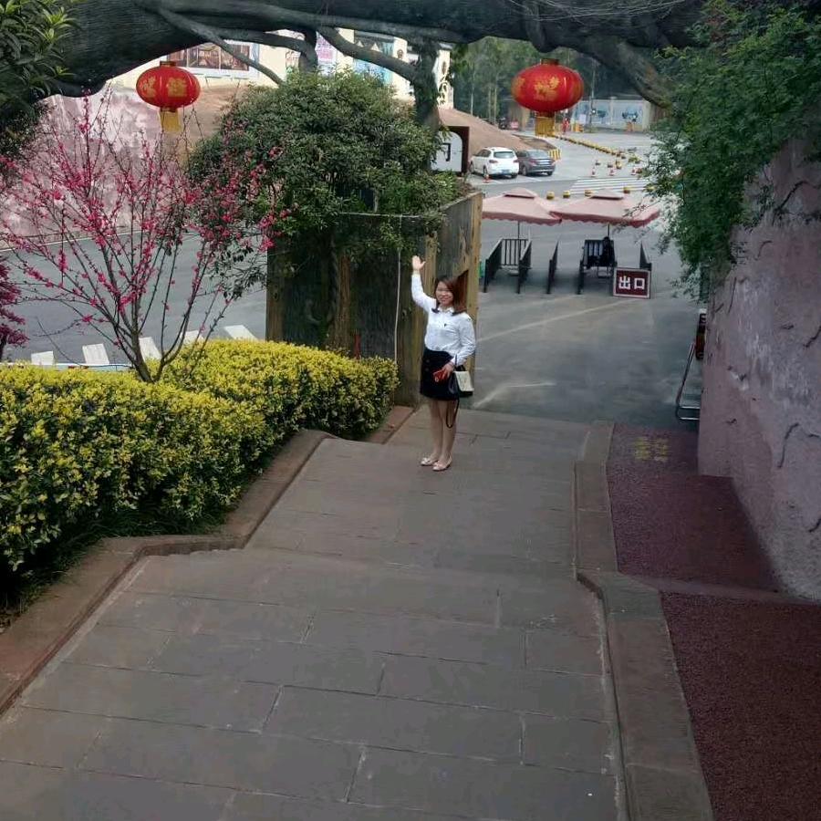 我是露露