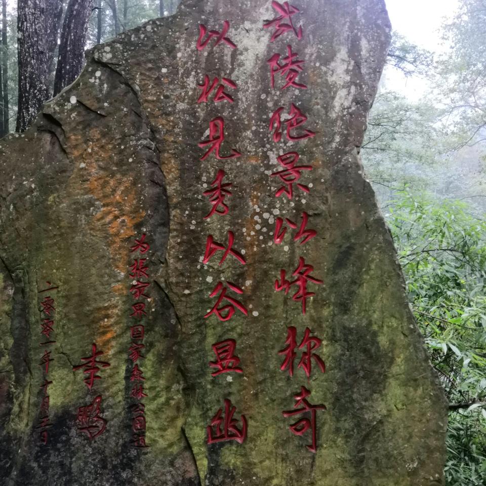 笑看人生