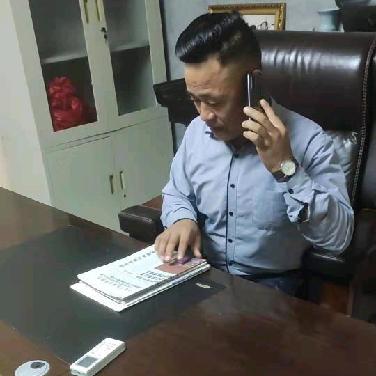 阿江金宝虫