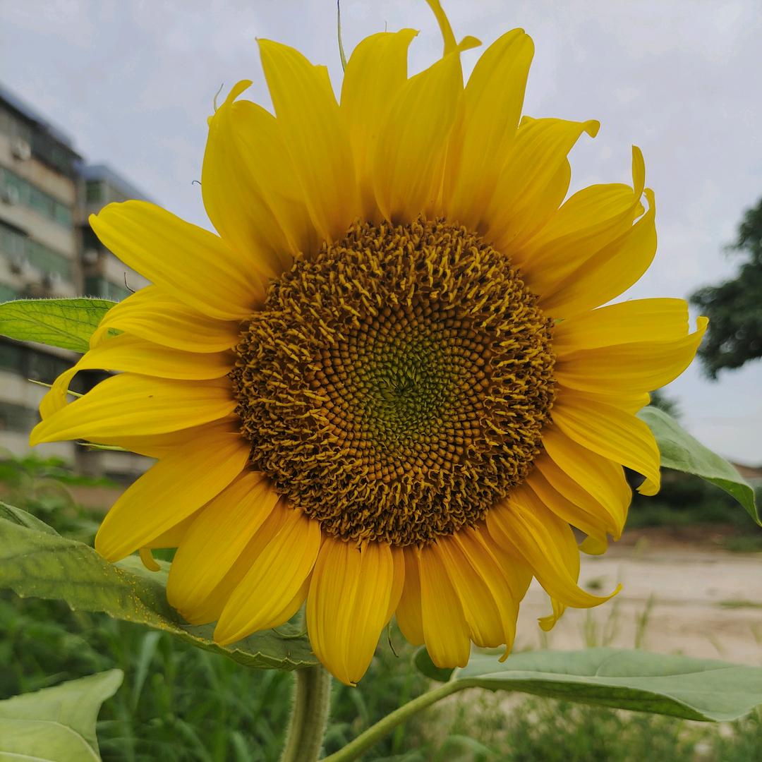 阳光超市