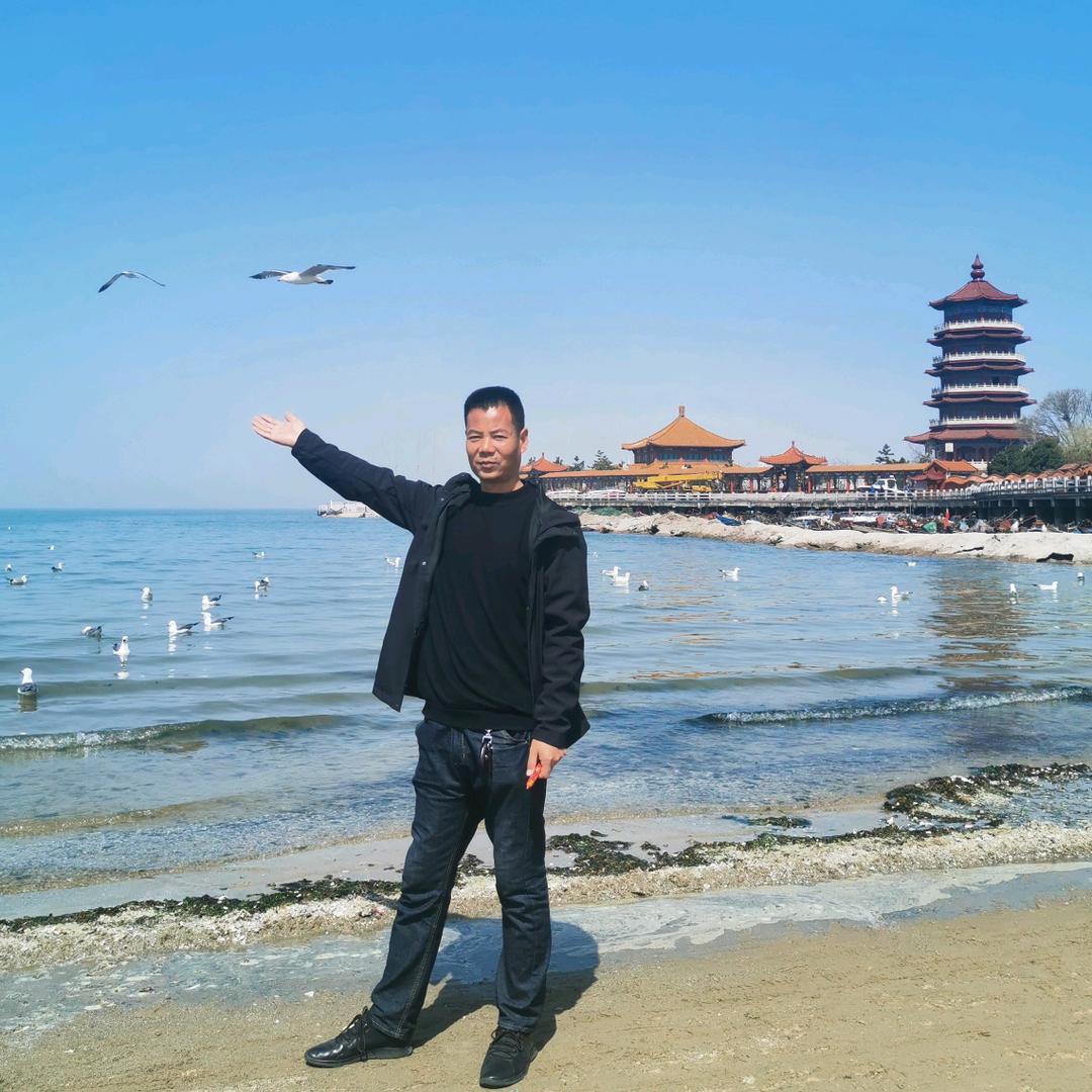 龙的传人