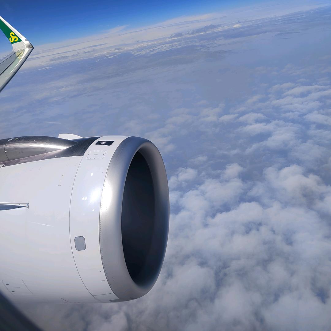 你撩不动的蝶蝶