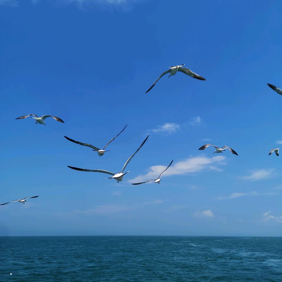 振兴路美的智慧家