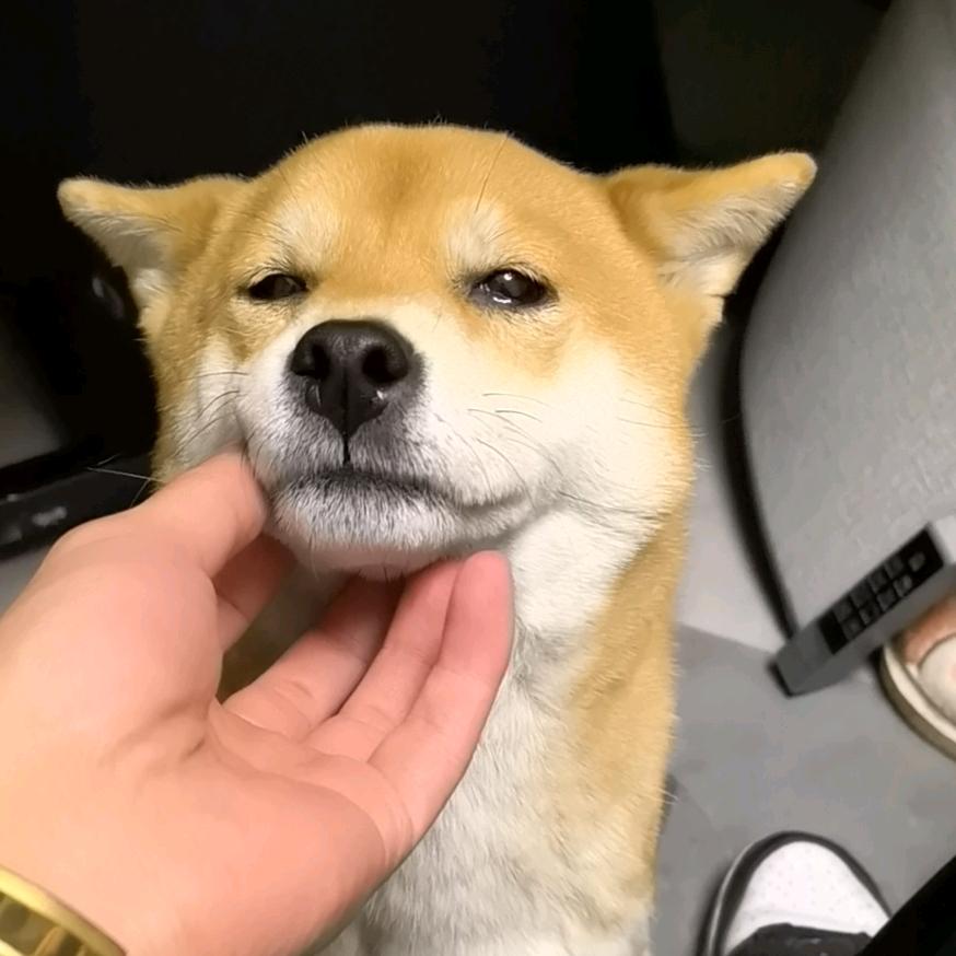 wyyy