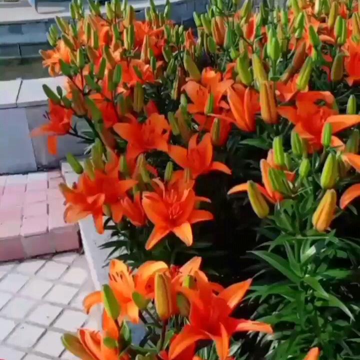 赶走疫情