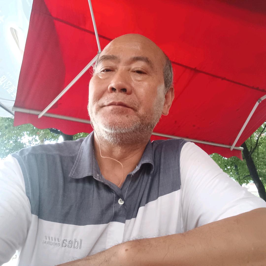 大地。阳光。松。
