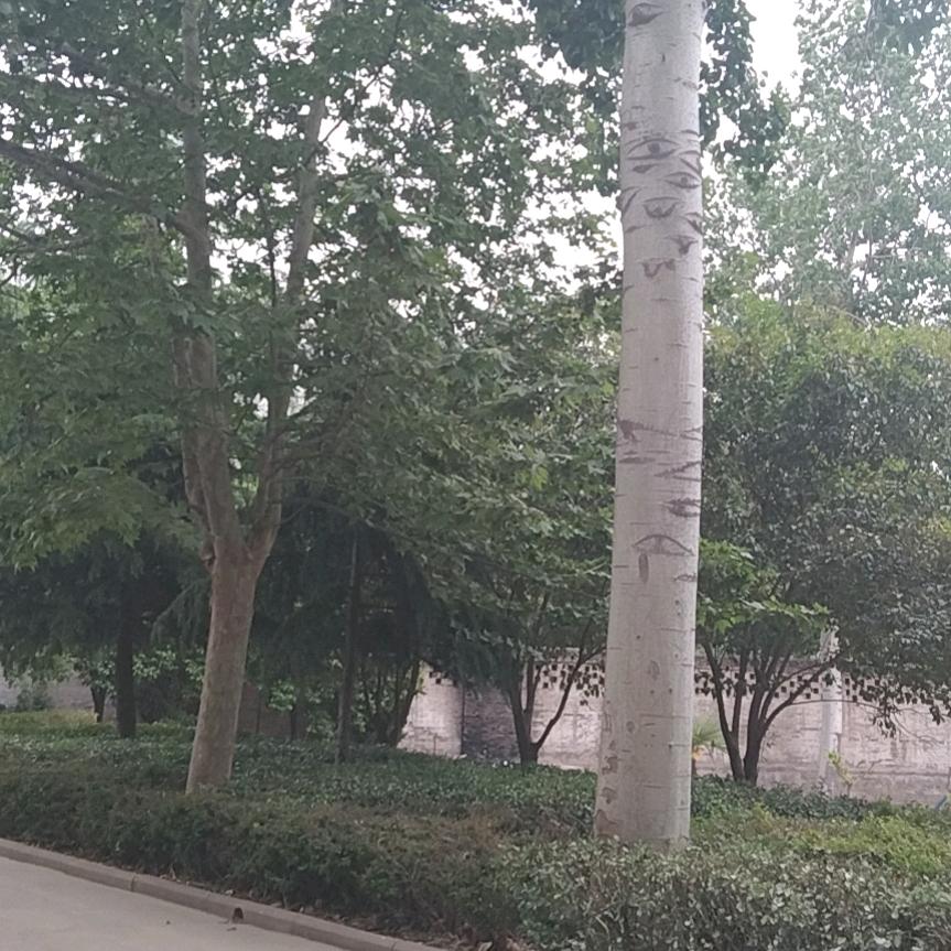 长乐村(
