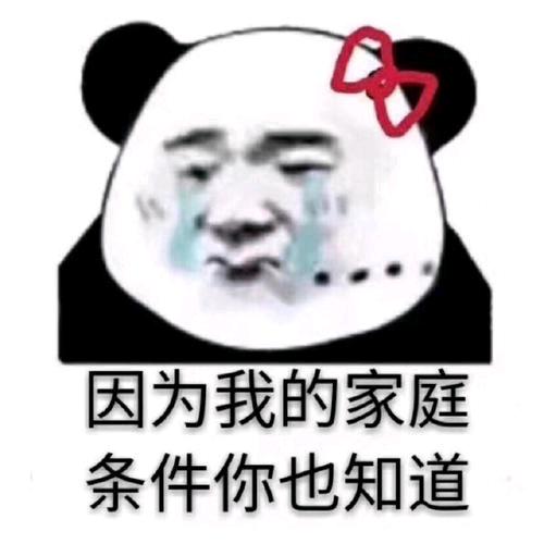 只是一只璐