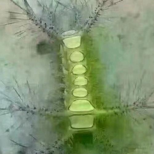 *^_^*可我*^_^*不愿将就*^_^