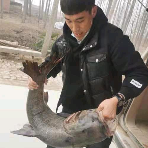 助力乡村 新农人