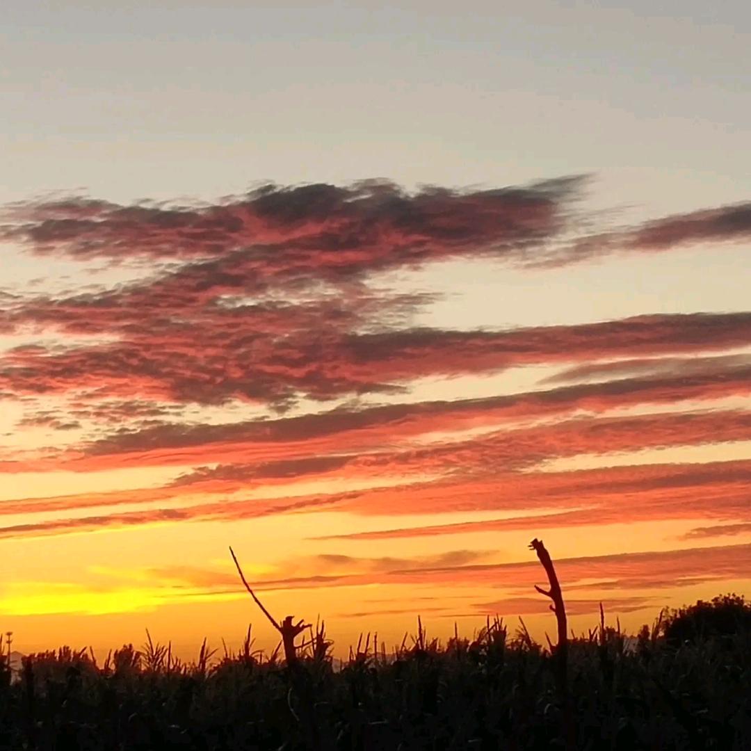 🍒🍎天天开心