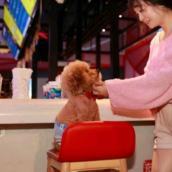 我的小心肝王乐乐😄😄😄