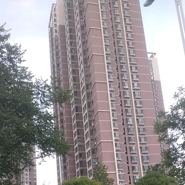 快乐飞翔