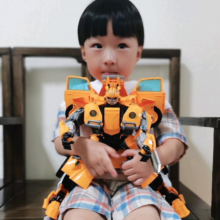 瑞炀益智玩具
